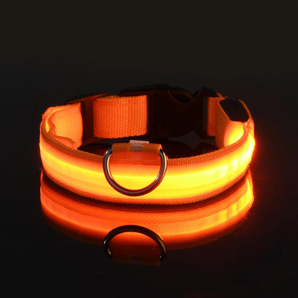 Collier Lumineux LED pour Chien