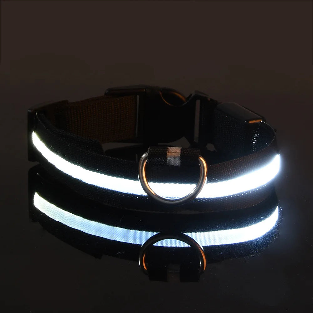 Collier Lumineux LED pour Chien