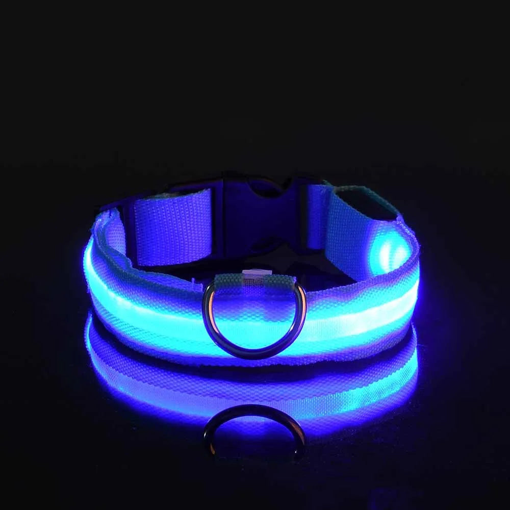 Collier Lumineux LED pour Chien