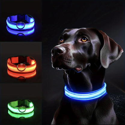 Collier Lumineux LED pour Chien