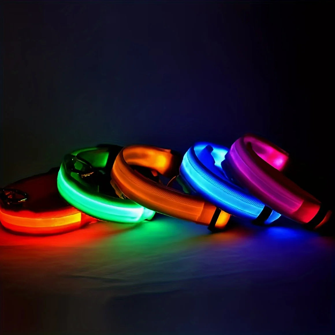 Collier Lumineux LED pour Chien