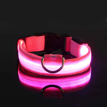 Collier Lumineux LED pour Chien