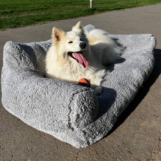 Canapé Confort pour Animaux