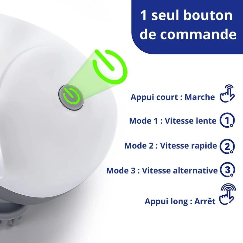 Massage automatique pour chat